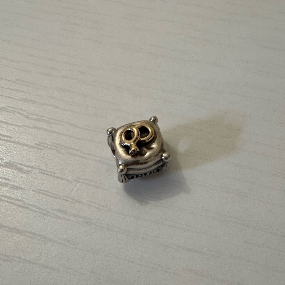 Pandora rare two toned charm